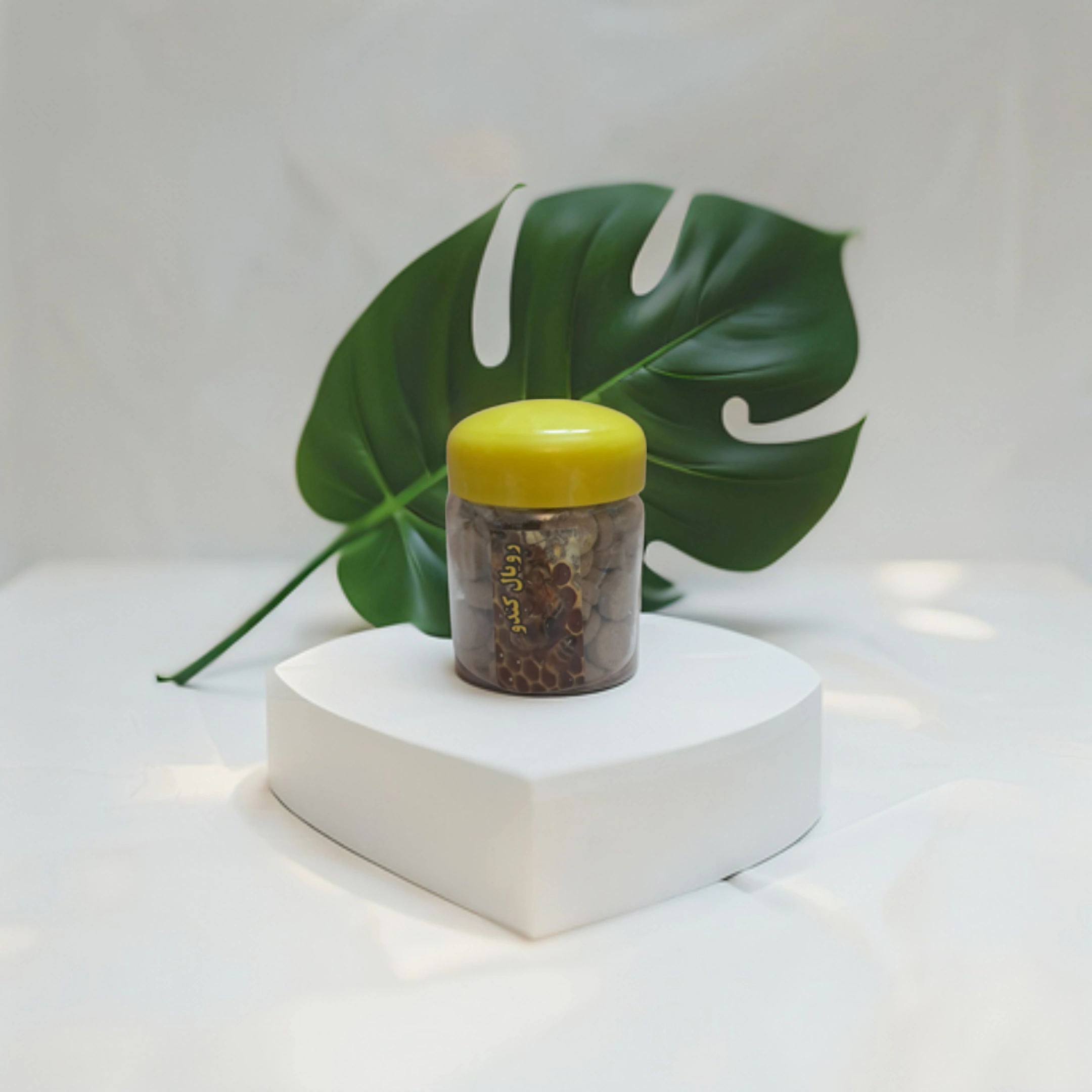 image_Pippit_202504291729 (8) - Copy.webp